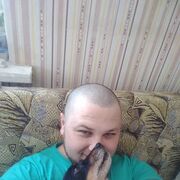  ,   Archi, 31 ,   