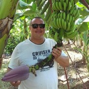 ���������� ������, ���� ������� ������, 43 ����, ������������ ��� ������, ����� � ���������