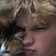 ���������� ����, ���� ����� �������, 24 ����, ������������ ��� ����� � ���������, c�������� ���������