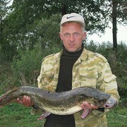  ,   , 51 ,   