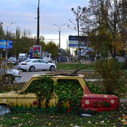 ���������� ��������, ���� ������� Vik, 46 ���, ������������ ��� ������, ���������