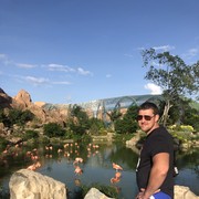 ���������� ��������������, ���� ������� �����, 38 ���, ������������ 