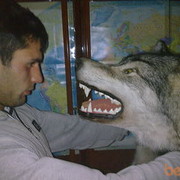  ,   Vusal, 37 ,   ,   , c 