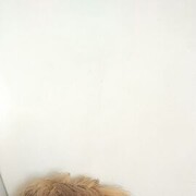  -,   , 42 ,     , c 