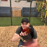  ,   , 38 ,   ,   , c , 