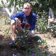 ���������� ��������, ���� ������� ��������, 42 ����, ������������ ��� ������, ����� � ���������, c�������� ���������