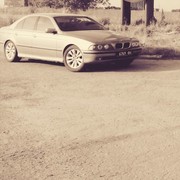 ���������� ����, ���� ������� ����, 33 ����, ������������ ��� ������, ����� � ���������, c�������� ���������, ���������