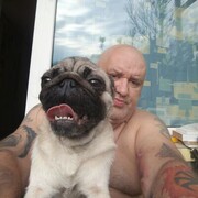  ,   , 55 ,   ,   