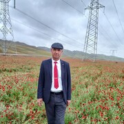 ���������� ��������, ���� ������� Zohir, 53 ����, ������������ ��� ������, ����� � ���������