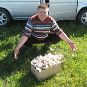 ���������� ������, ���� ������� ���������, 41 ���, ������������ ��� ������, ����� � ���������, c�������� ���������