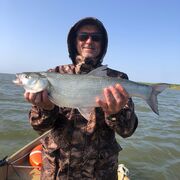 ���������� ����, ���� ������� �����, 50 ���, ������������ ��� ������, c�������� ���������