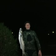 ���������� �����, ���� ������� �������, 37 ���, ������������ ��� ����� � ���������, c�������� ���������, ���������