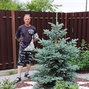  ,   , 44 ,     , c , 