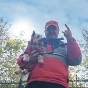 ���������� �������, ���� ������� ���������, 55 ���, ������������ ��� ������, ����� � ���������