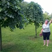  ,   , 59 ,     , c 