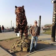 ���������� �����������, ���� ������� �������, 44 ����, ������������ ��� ������, ����� � ���������, c�������� ���������, ���������