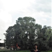  ,   , 54 ,  
