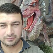 ���������� ����, ���� ������� ���������, 36 ���, ������������ ��� ������, ����� � ���������