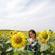 ���������� ���������, ���� ������� ������, 63 ����, ������������ ��� ������, ����� � ���������, c�������� ���������