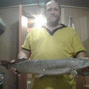 ���������� ������, ���� ������� ����, 54 ����, ������������ ��� ������, ����� � ���������, c�������� ���������