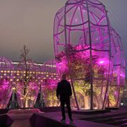 ���������� �����, ���� ������� ������, 39 ���, ������������ ��� c�������� ���������