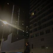 ���������� ������, ���� ������� Mani, 29 ���, ������������ ��� ������, ����� � ���������