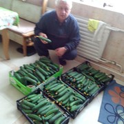 ���������� �������, ���� ������� ������, 66 ���, ������������ ��� ������, ����� � ���������, c�������� ���������