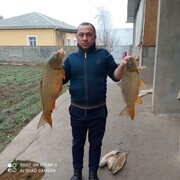 ���������� ���������, ���� ������� ������, 37 ���, ������������ ��� ������, ����� � ���������