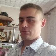  ,  , 37