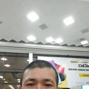  ,   , 41 ,   ,   