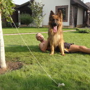 ���������� ��������, ���� ������� Vova, 38 ���, ������������ ��� ������, ����� � ���������, c�������� ���������, ���������