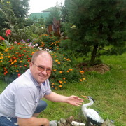  ,    , 49 ,   ,   , c 