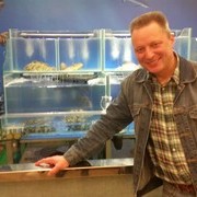 ���������� �������, ���� ������� ������, 59 ���, ������������ ��� ������, ����� � ���������, c�������� ���������