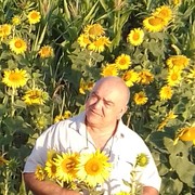  ,   , 68 ,     , c 
