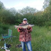 ���������� �����, ���� ������� �������, 41 ���, ������������ ��� ������, ����� � ���������, ���������