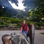 ���������� ������-��-����, ���� ������� ����, 41 ���, ������������ ��� ������, ����� � ���������, c�������� ���������, ���������