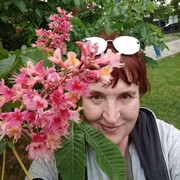  ,   , 66 ,     , c , 