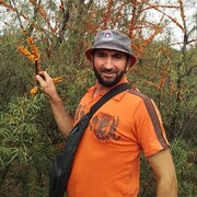  ,   , 40 ,   , 