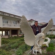   ,   , 60 ,   ,   