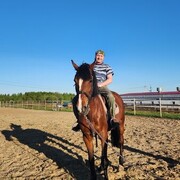  ,   , 50 ,   ,   , c 