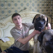 ���������� ���������, ���� ������� ����, 38 ���, ������������ ��� ������, ����� � ���������, c�������� ���������