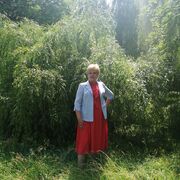  ,   , 53 ,   ,   , 