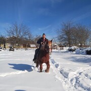 ���������� ������, ���� ������� �����, 34 ����, ������������ ��� ������, ����� � ���������