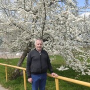  ,   , 51 ,   ,   