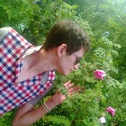  ,   , 33 ,     , c 