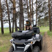 ���������� �����������, ���� ������� �����, 20 ���, ������������ ��� ������, ����� � ���������