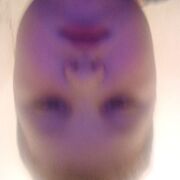 ���������� ��������, ���� ������� ����, 27 ���, ������������ ��� ������, ����� � ���������