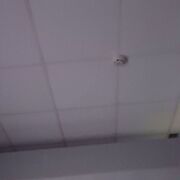 ���������� �������, ���� ������� ������, 38 ���, ������������ ��� ������, ����� � ���������