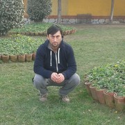 ���������� ������, ���� ������� Smoking83, 42 ����, ������������ ��� ������, ����� � ���������, c�������� ���������