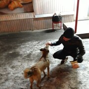 ���������� ���������, ���� ������� ������, 30 ���, ������������ ��� ������, ����� � ���������